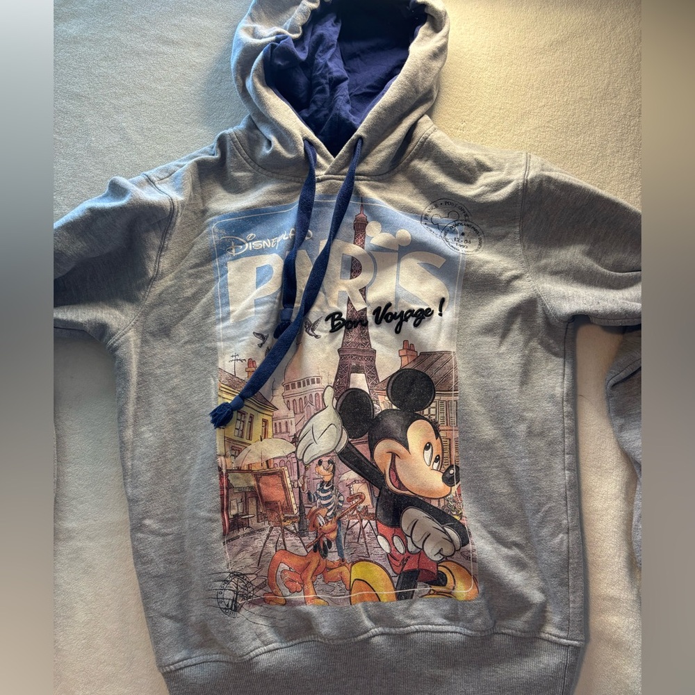 Disney Paris Gray and Blue Hoody